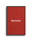 Print with the Bayer 04 Leverkusen 2024-25 Home football shirt design by RIPA Football