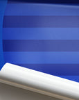 Print with the Chelsea 2011-12 Home football shirt design by RIPA Football