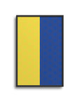 Print with the Boca Juniors 2026 Prematch football shirt design by RIPA Football