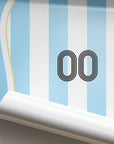 Print with the Argentina 2006 Home football shirt design by RIPA Football