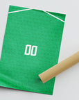 Print with the Ireland 2024 Home football shirt design by RIPA Football